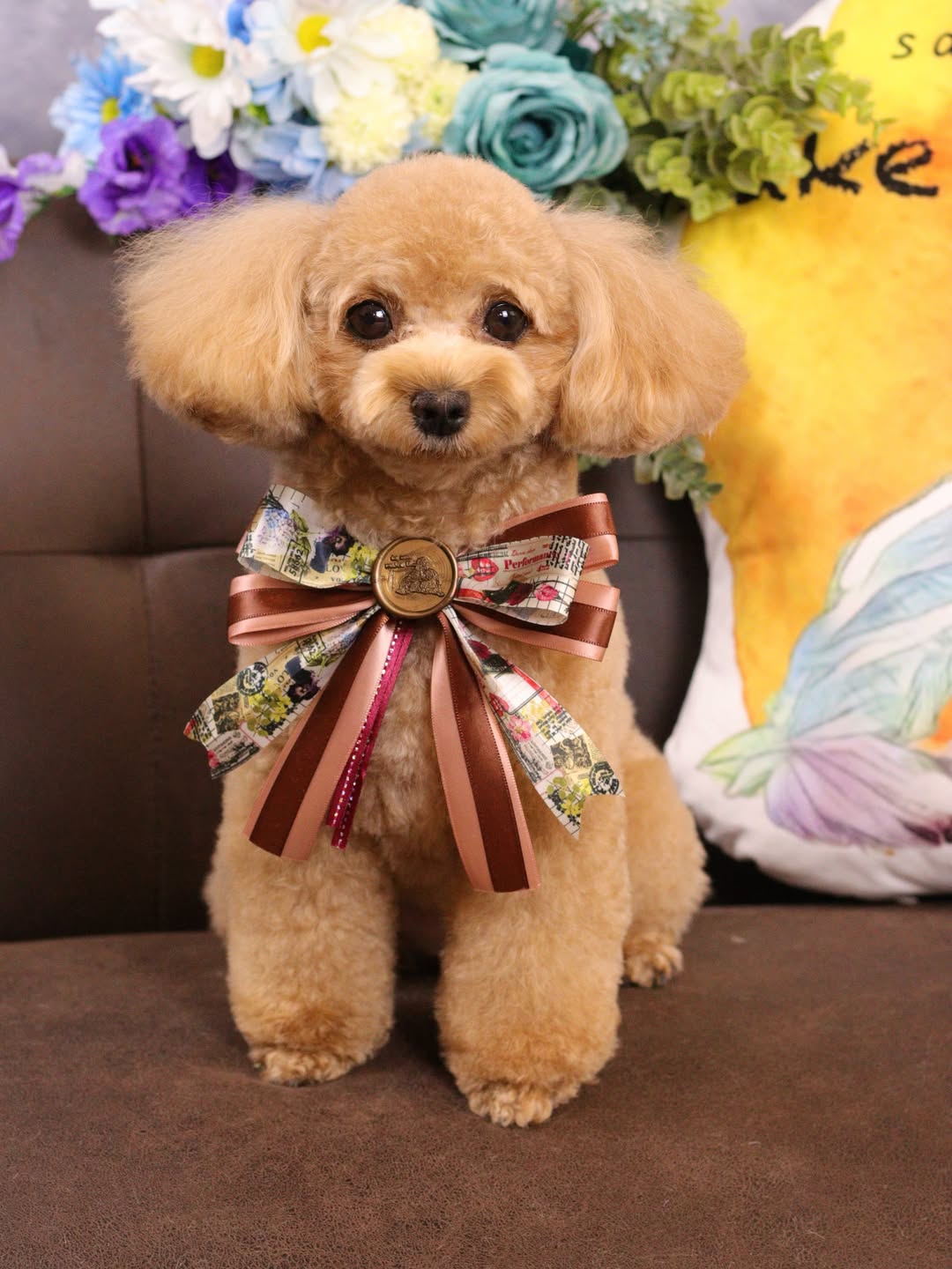 make it...の公開投稿で紹介された犬