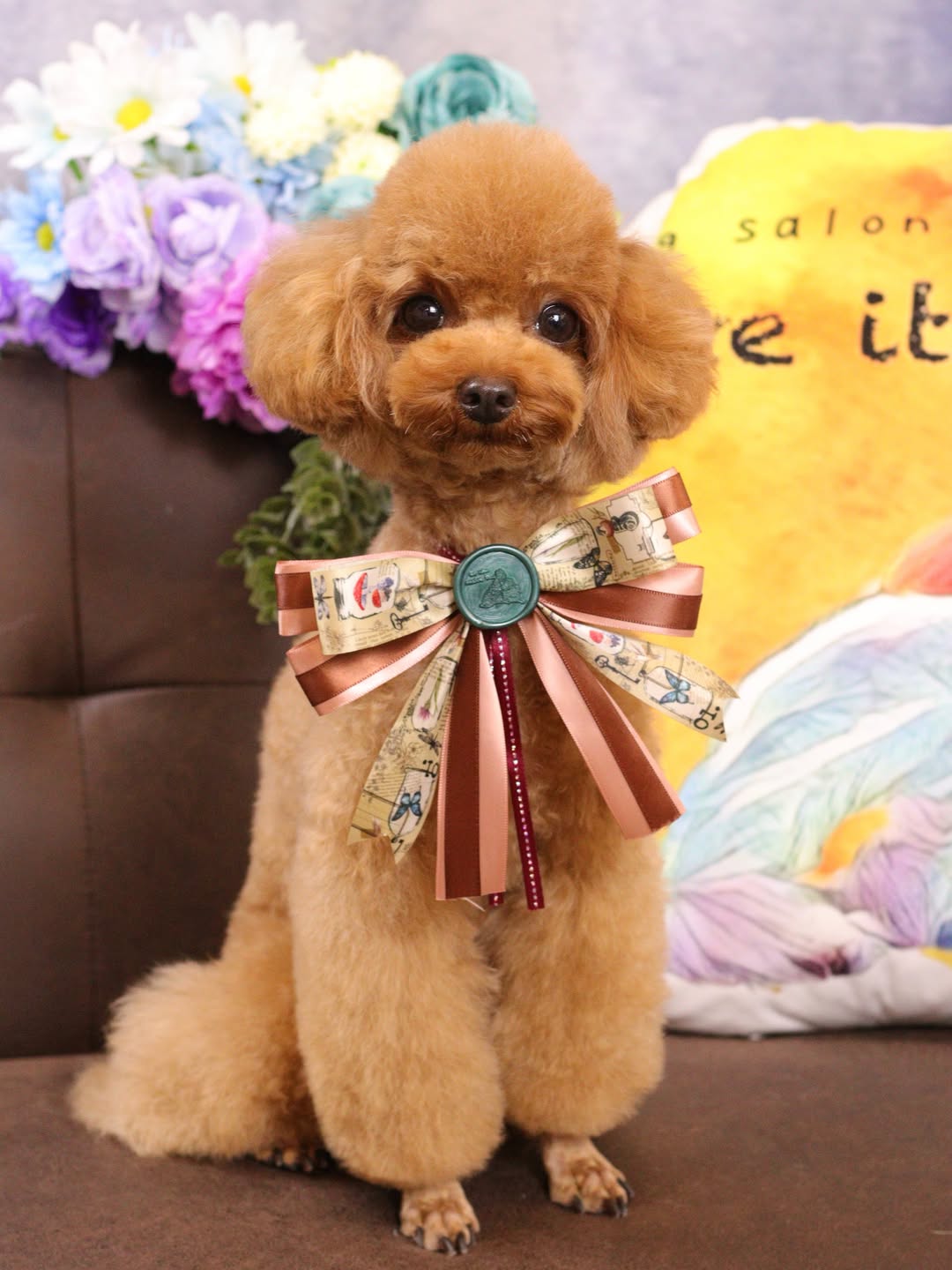 9月4日に紹介されたテンくん